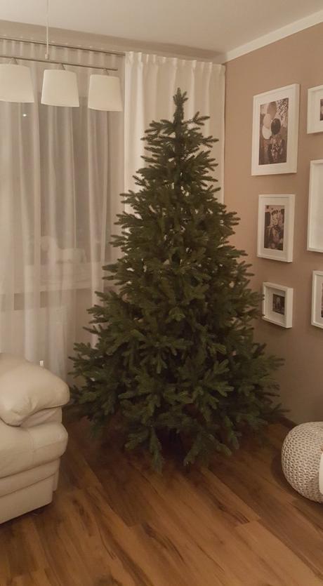 Vianočný stromček jedľa, 
