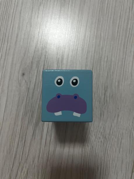 Vilac drevené zvukové kocky savana, 