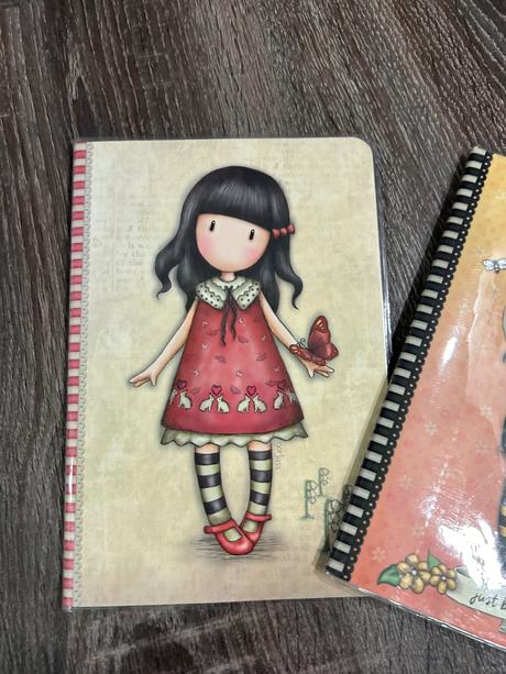 Santoro linajkove zošity,