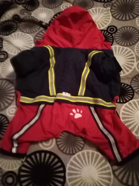 Oblecenie pre maleho psa,
