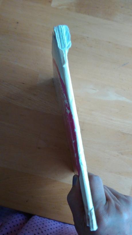 Kniha co chcete vedet o velké pardubické v češtine,