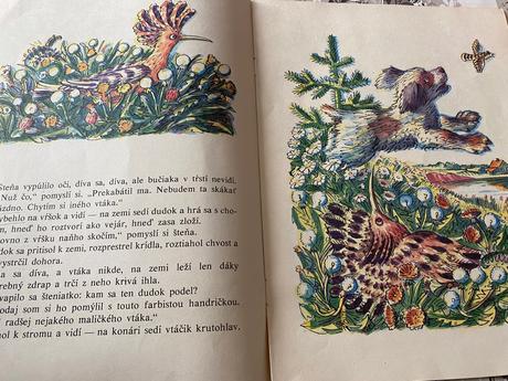 Prvá poľovačka vitalij bianki,