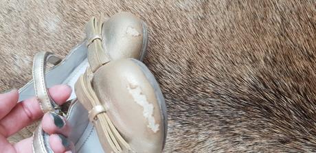 Topanocky, mayoral,26