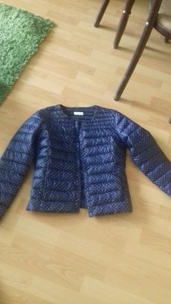 Lahka bunda, calliope,s