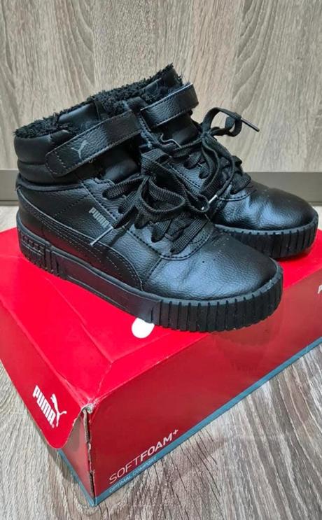 Zimne pumy, puma,36