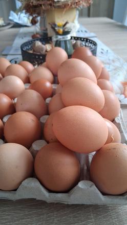 Domáce vajíčka, 