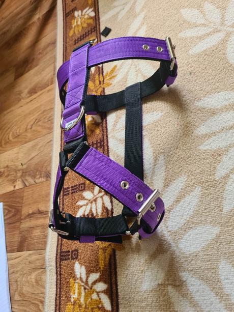 Postroj pre silné bull plemená, 