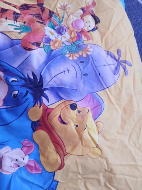 Pláštenka, disney,116