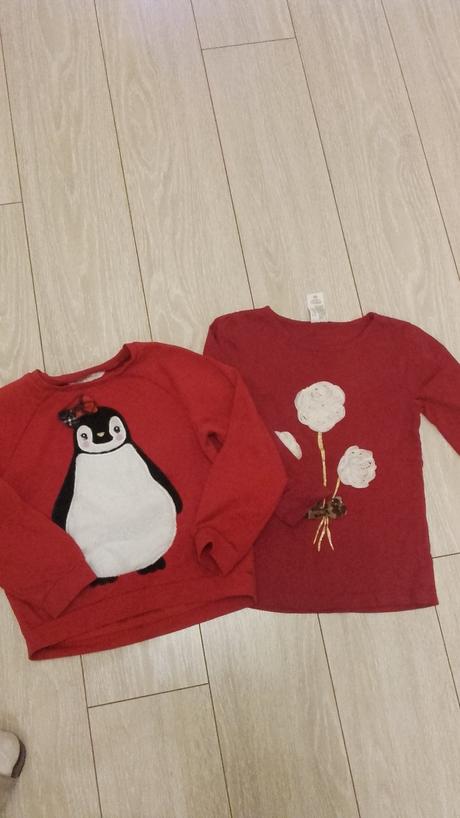 Mikinka,2ks,cena za obidve, h&m,110