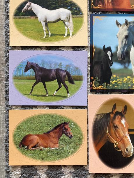 Pohľadnice koní nepopísané 10ks,