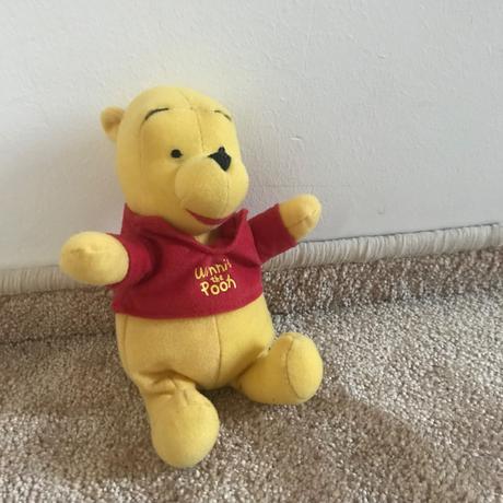 Brney zvukovy a macko pooh, 