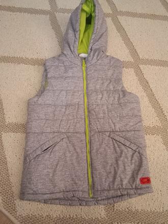 Vesta coccodrillo 146, coccodrillo,146