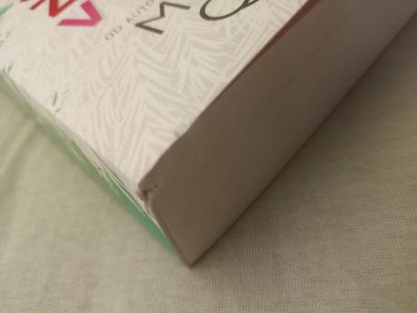 Meghan quinn - môj sused - zlodej vianoc, 