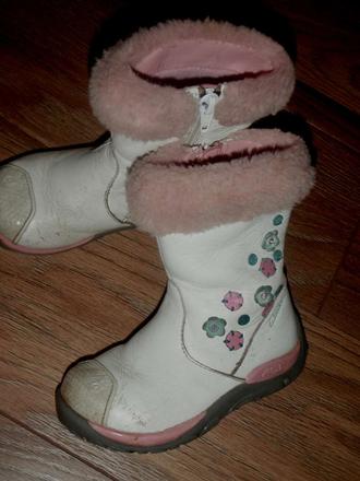 Chutnucke cizmicky v.21/22, 21