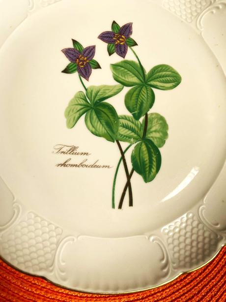 Starožitný tanier,