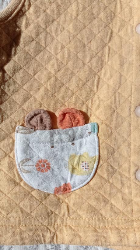 Žltá vesticka z korei, 86