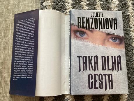 Taká dlhá cesta (1995), 