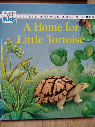 Kniha anglicka little tortoise, 