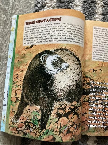 Brožované knižky, 