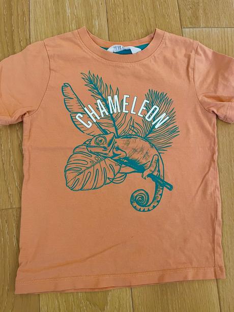 Tricka h&m 98/104, h&m,98