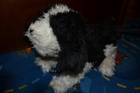 Plysovy psik,knuci,havka...,