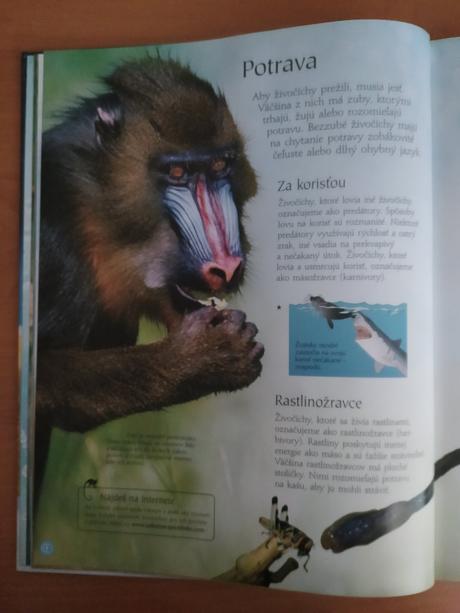 Svet zvierat (2005), 