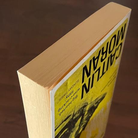 Caitlin moran how to build a girl, 