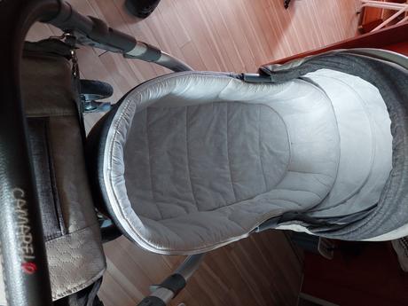 Kočík camarelo, camarelo,camarelo sirion