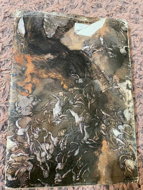 Lindgrenová astrid krásna zbojníkova dcéra ronja,