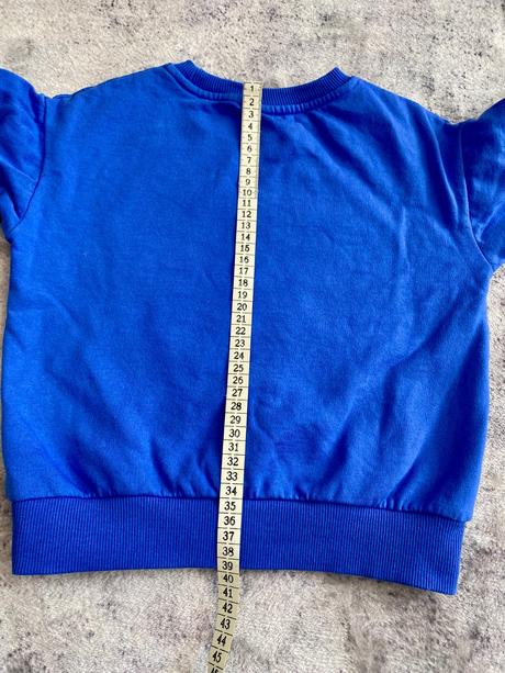 Mikina pokémon, 110