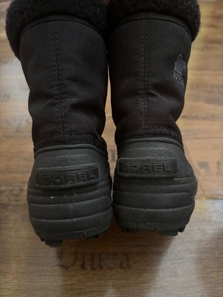 Snehule sorel, sorel,24