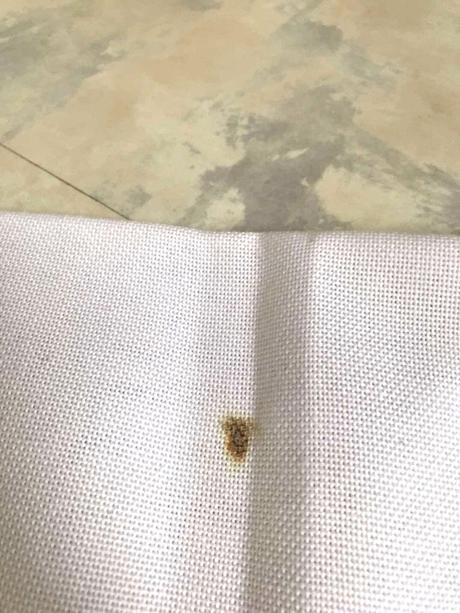 Veľký sviatočný luxusný obrus,