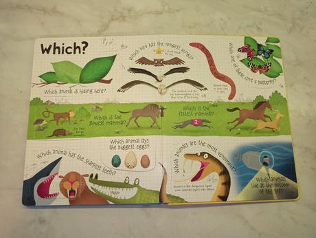 Usborne lift-the-flap - q&a about animals, 