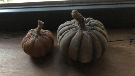 3ks menšie tekvičky,