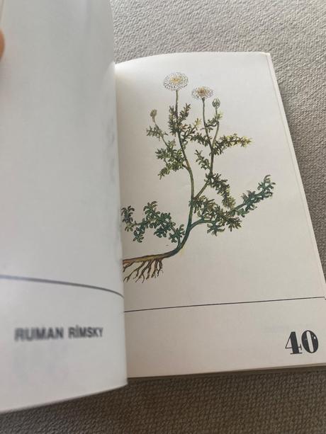 Pestovanie liečivých rastlín na malých plochách,