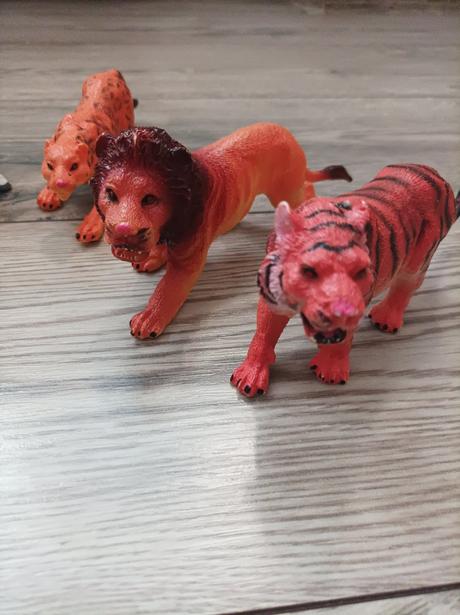 Zvieratá z dzungle, 