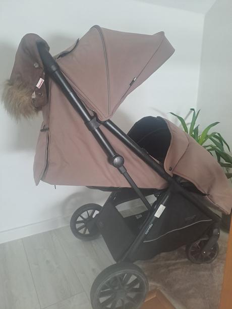 Športový kočiar, carrello
