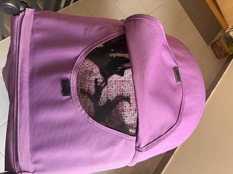 Britax b-motion 4 plus, britax,britax b-motion 4 plus