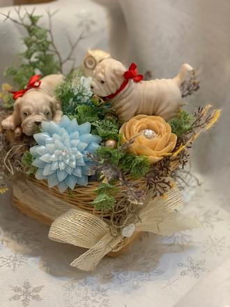 Detska mydlova kytica, 