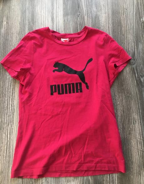 Puma, puma,m