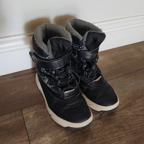 Snehule, pepperts,32