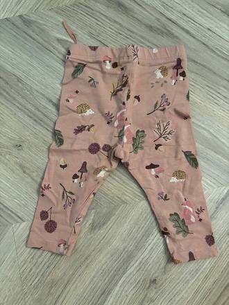 Leginy zvieratka 62, lindex,62