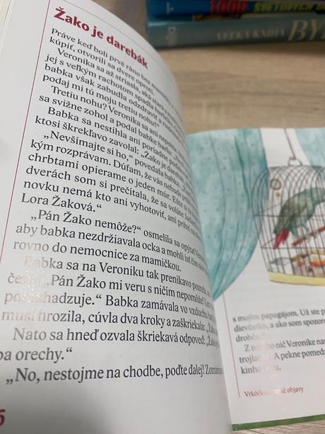 Vrkôčkine tajné objavy paula sabolová, 