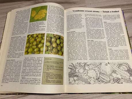 Krásna stará retro kniha jeseň v záhrade 1982, 