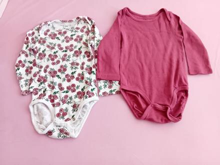 Body, fox & bunny,74