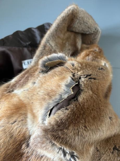 Kozuch liska bratislava, s