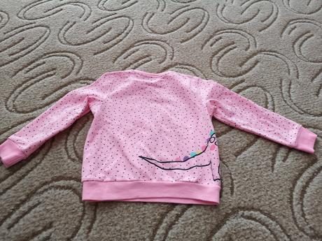 Mikinka s dinom, pepco,104