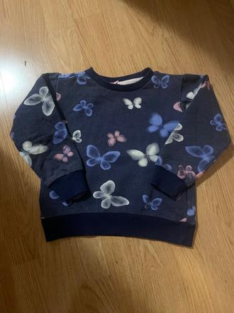 Mikina s motylikmi, 104