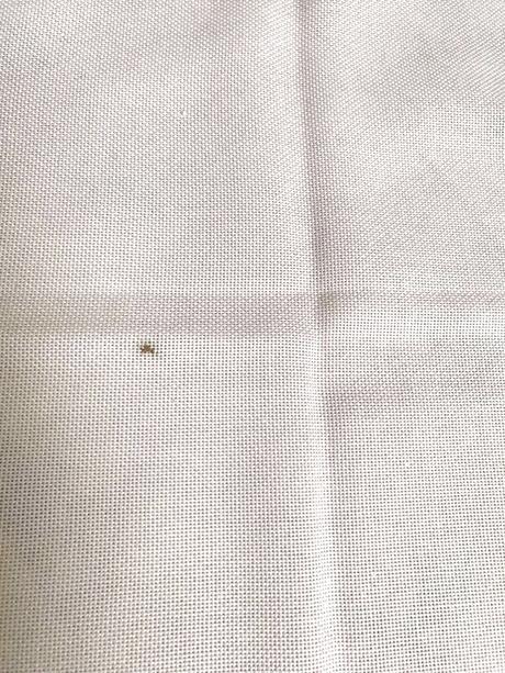 Veľký sviatočný luxusný obrus,