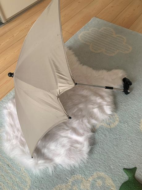 Slnečník univerzálny, 